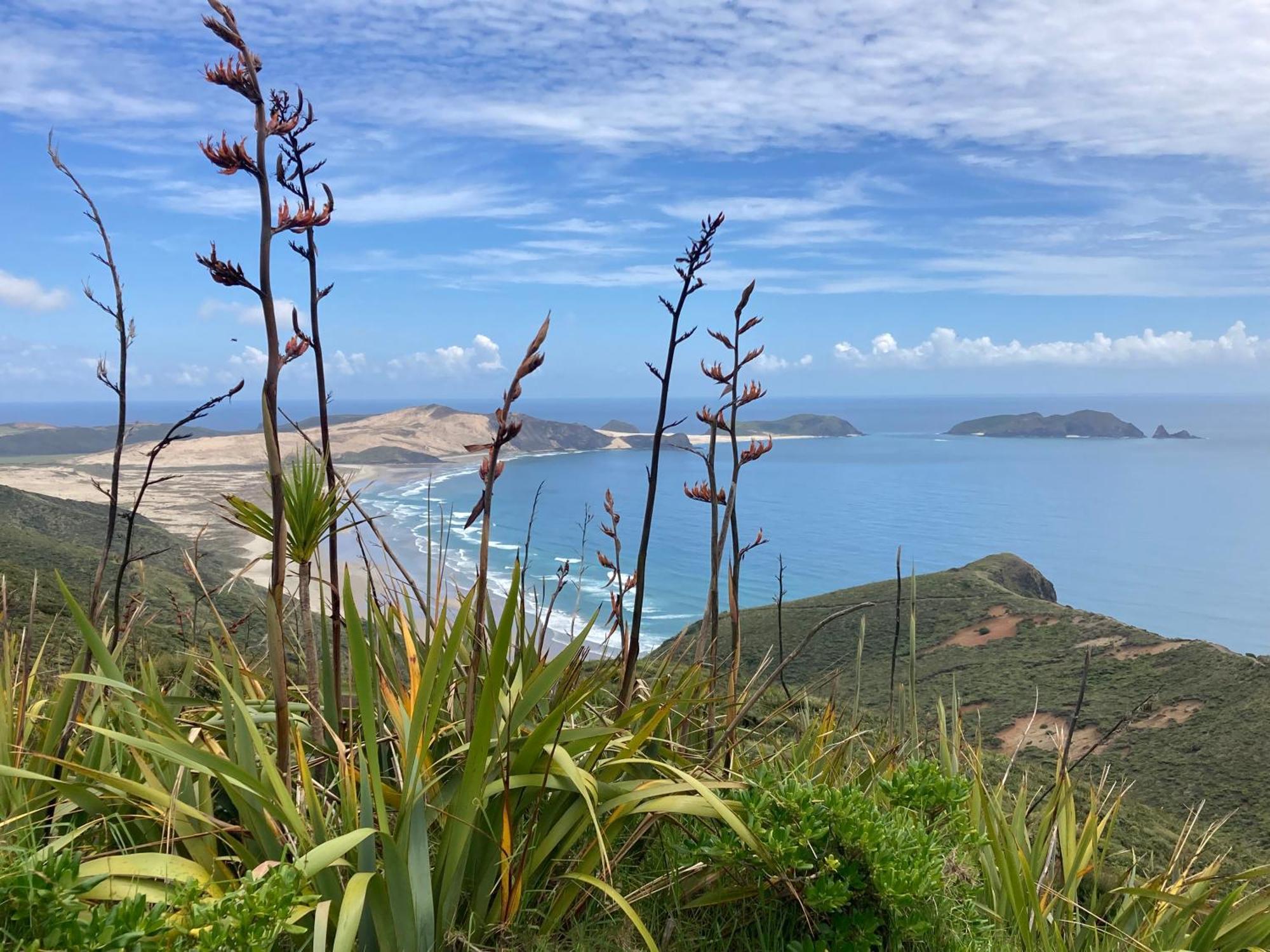Villa Far North Panorama Kaingaroa Exterior foto